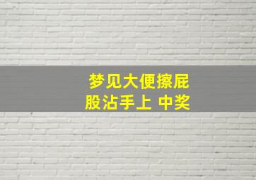 梦见大便擦屁股沾手上 中奖